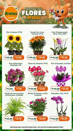 Pré-visualização Bretas ofertas Flores válida a partir de 11/09/2026