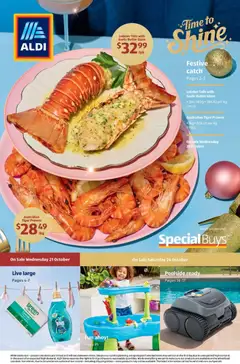 Aldi catalogue preview - valid from 21/10/2026